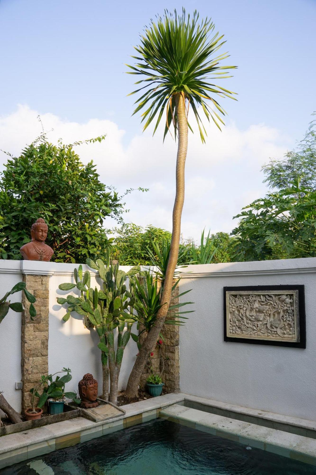 Hills House Villa By Sunnyrent - Jimbaran X Balangan X Gwk Exterior photo