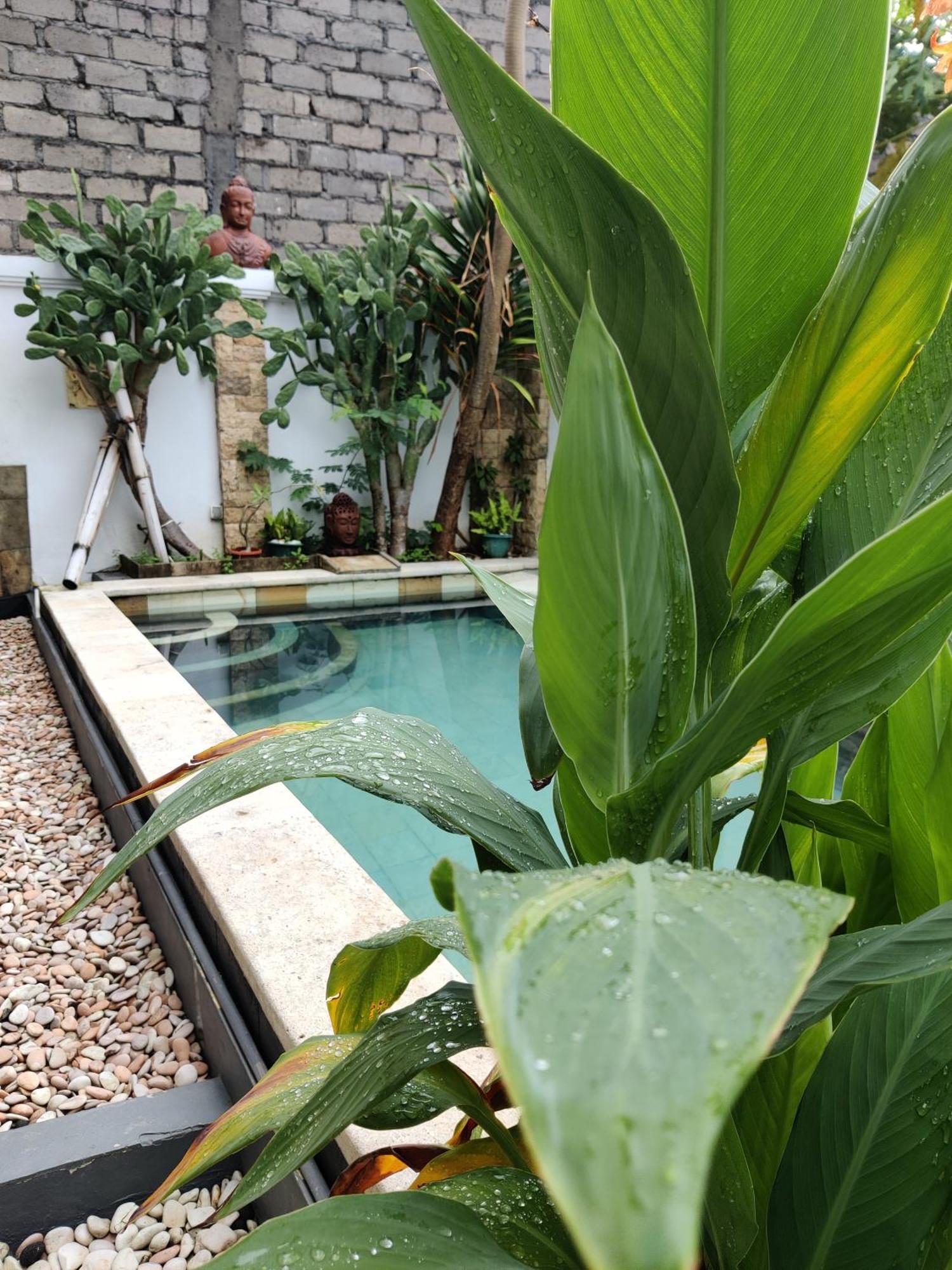 Hills House Villa By Sunnyrent - Jimbaran X Balangan X Gwk Exterior photo
